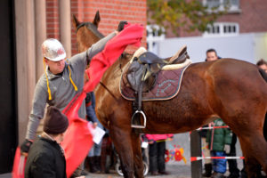 St. Martin Umzug 11.11.2016 - Hamburg St. Georg